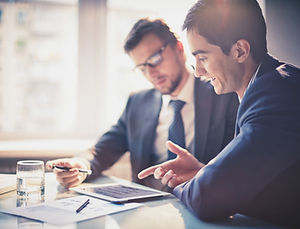 Expert Consultations - reports